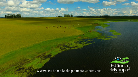 DOS EÓLICOS VIRA P FAZENDA_Moment.00_08_42_09.Quadro266_23fc62f21a42c521a2b033b111bf0ce6cafef4bd.jpg